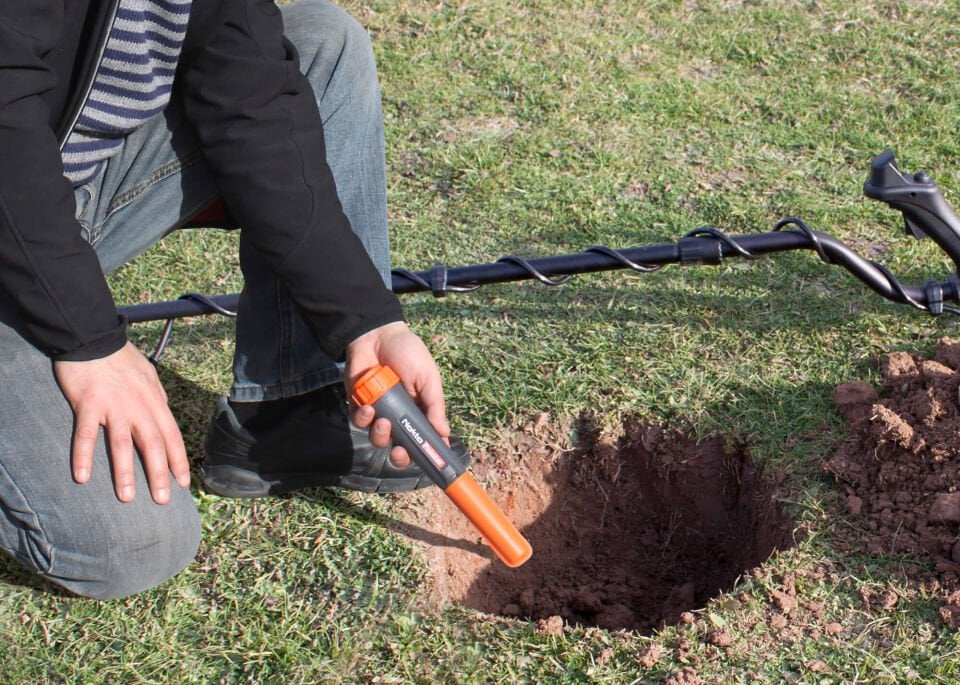 Nokta Pointer